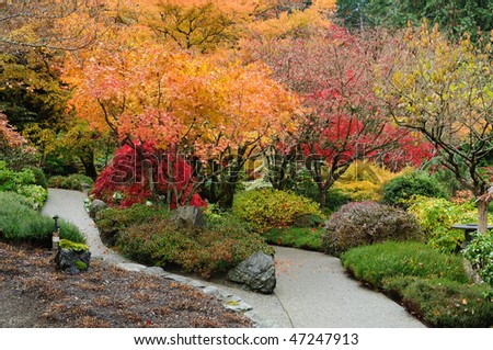 The autumnal look of the japanese garden inside the famous historic butchart gardens (built in 1903), vancouver island, british columbia, canada