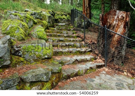Stone stairway in rain forest at sooke potholes regional park, vancouver island, bc, canada
