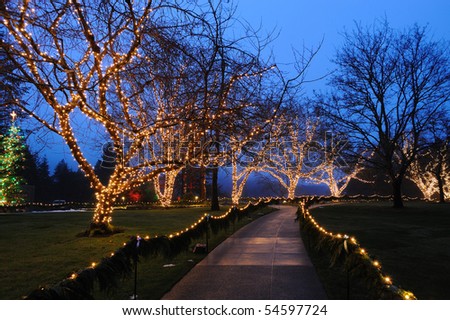 Beautiful garden night scene in Christmas in historic butchart gardens, victoria, british columbia, canada