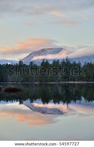 spider lake and forest at sunset, vancouver island, british columbia, canada