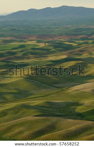 rolling hills and wheat fields in steptoe butte state park, washington, usa