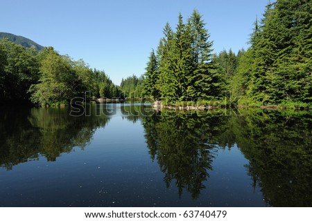 Buttle lake and lakeside forests in strathcona provincial park in vancouver island, british columbia, canada