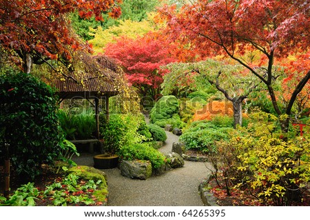 autumnal japanese garden in victoria, vancouver island, british columbia, canada