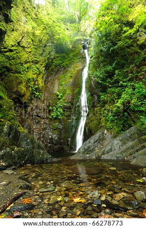 Niagara creek in rain forest, goldstream provincial park, victoria, bc, canada