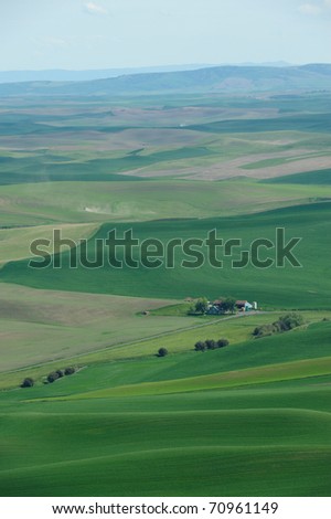 Rolling hills and wheat fields in steptoe butte state park, washington, usa