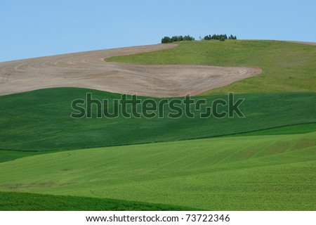 Rolling hills and wheat fields in palouse area, washington, usa