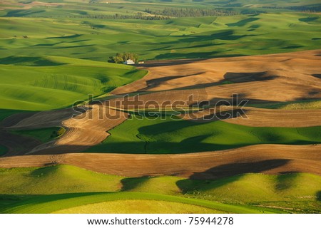 Rolling hills and wheat fields in sunset at steptoe butte state park, washington, usa