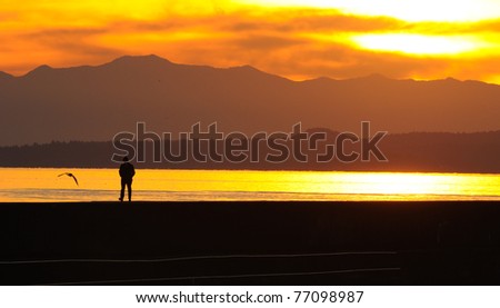 sunset scene of people walking on Ogden point breakwater in twilight, victoria, british columbia, canada