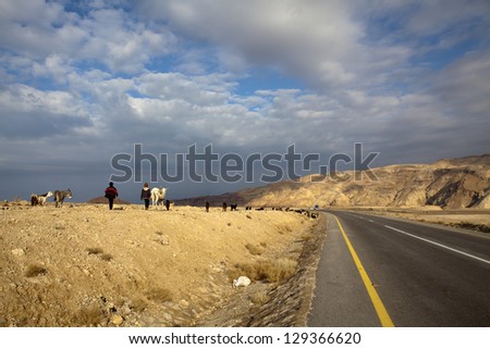 Bedouins walk with goats along the new King\'s Highway in Jordan, Arabia, Middle East