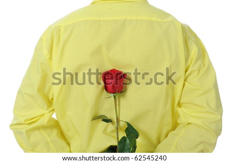 Picture a man in a yellow shirt holding a red rose behind his back. Isolated on white background