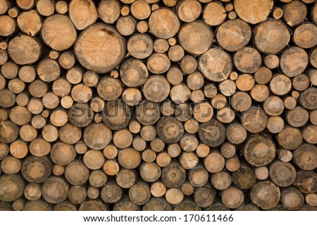 Big Wall Of Stacked Wood Logs Showing Natural Discoloration
