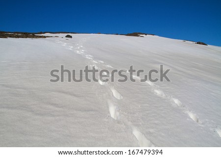 snow field with footsteps