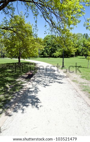 road in the park by summer