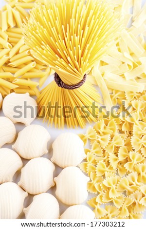 different types of pasta. whole wheat pasta, pasta