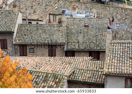 roofs of houses in Spello - Umbria