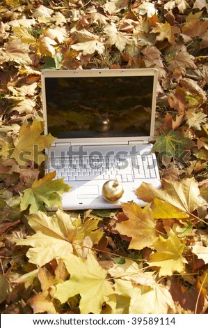 computer outdoors in autumn leaves