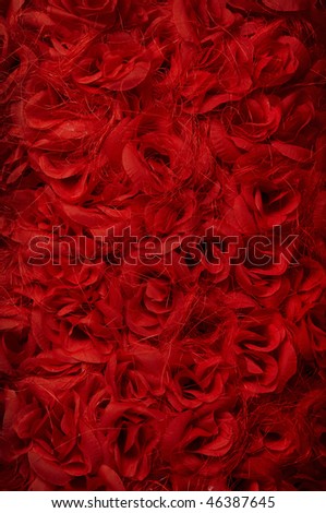 Red roses background, a lot of red flowers