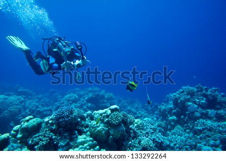 Scuba diver taking Photo/Video at coral reef in the Red Sea, Egypt