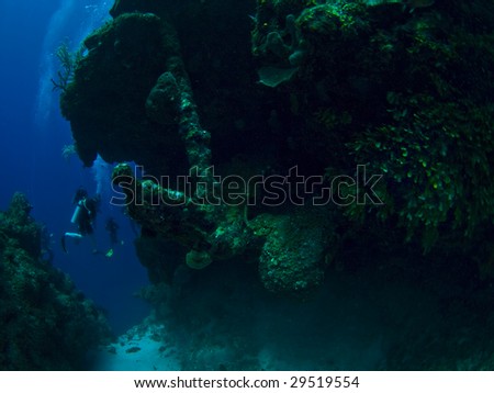 Scuba diving near an old anchor in the caribbean sea (Turks & Caicos)