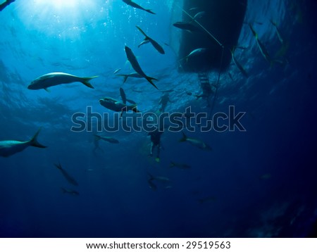 Dive Boat from below at Turks & Caicos (Caribbean Sea)