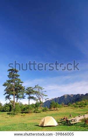 Beautiful campsite,tree,green grass and blue sky.