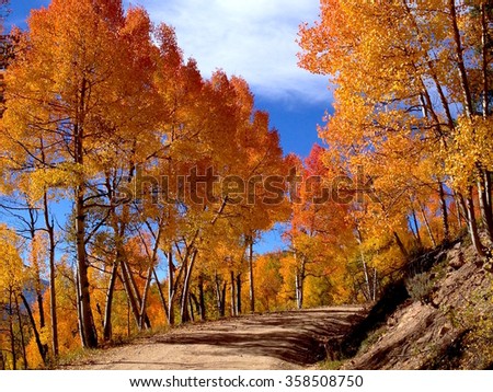 Waunita Pass Colorado, Fall Color Splendor