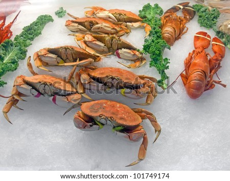 Snow crabs and lobsters on ice in the seafood market