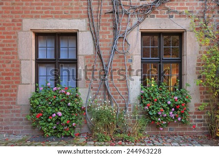 House windows with flowers, vines and brick wall in Nuremberg, Germany