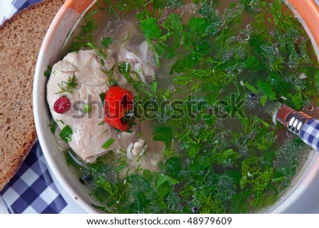 Soup with chicken and vegetables (parsley, pepper, dill)