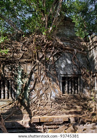 Banyan trees on the wall and window in Beng Mealea temple, Cambodia