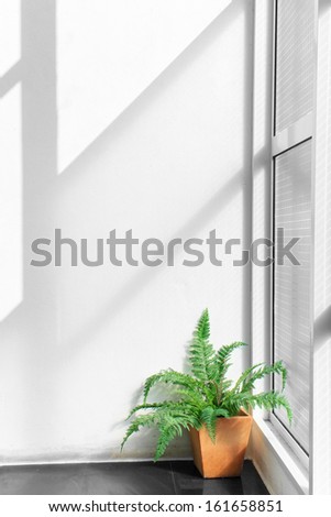 Ray And Light Shade On Indoor White Wall