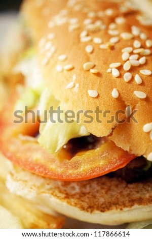 Close-up of burger focusing at the bread seeds