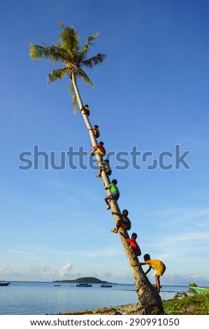 MAIGA ISLAND, MALAYSIA - JUNE 5 : Unidentified children of Sea Gypsy Bajau Tribe climbing coconut tree on June 5th, 2014 in Maiga Island, Sabah, Malaysia.