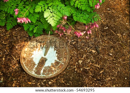 An aged sundial sits on bark mulch with bleeding heart plant nearby