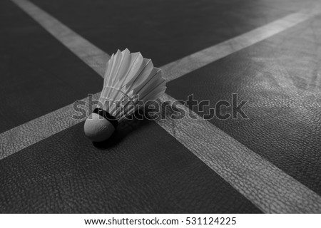 Black and white shuttlecock on badminton court line dark tone background