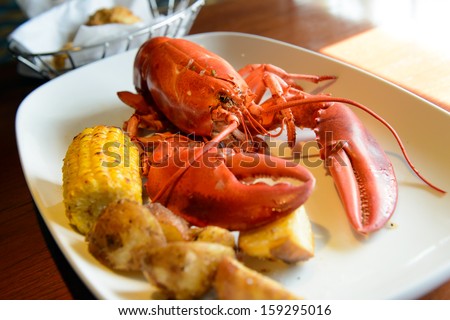 Roasted live maine red lobster served on plate