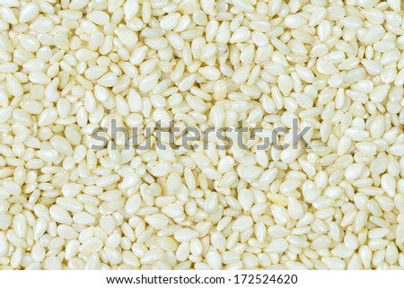 White sesame close up studio shot from top view