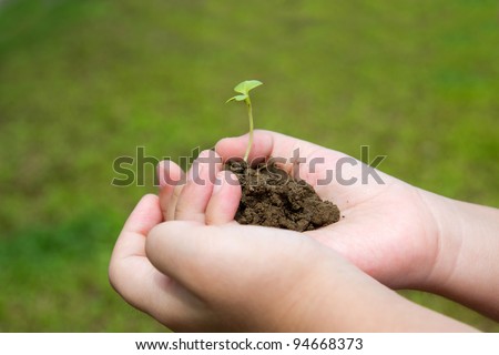 Hand with young plant against green field