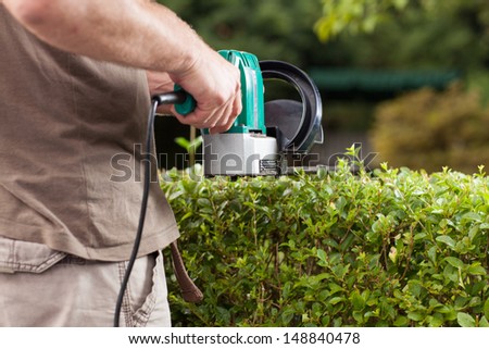 The Gardener is cutting the hedges during a sunny day.