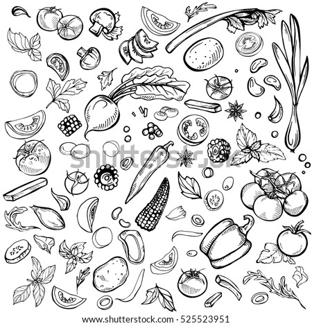 Hand drawn ink sketch. Set of various vegetables. Sketches of different food. Isolated on white