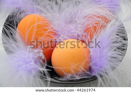 Eggs in a colorful bowl with purple feathers