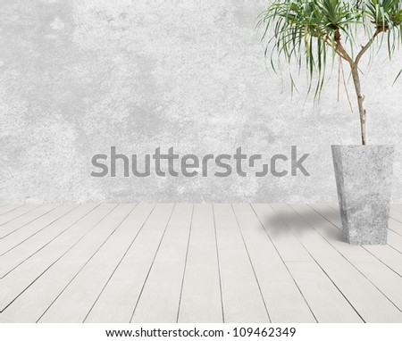white grunge cement wall and white wood floor with tree in cement pot.