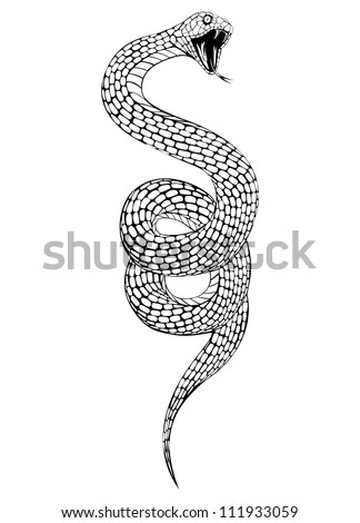 Vector Illustration Of Snake With An Open Mouth - 111933059 : Shutterstock