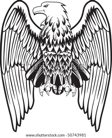 Eagle Wings Drawing on Eagle With The Lowered Wings Stock Vector 50743981   Shutterstock