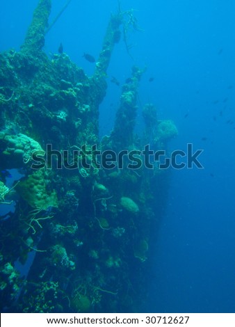 Second world war Japanese wreck - Pacific Ocean, Philippines