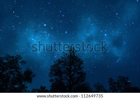 Night sky with trees