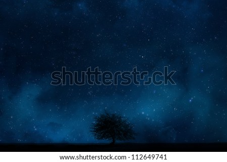 Night sky with Lonely tree