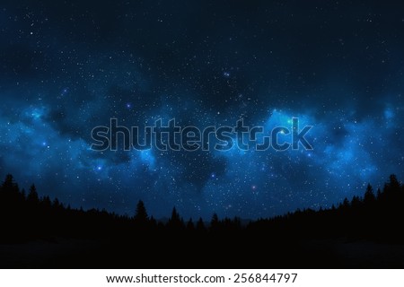 Mountain landscape showing pine trees against a night sky shot of the universe filled with stars