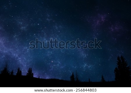 Magical landscape at night - sky filled with stars and trees silhouette