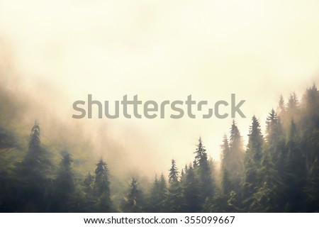 Clouds and fog over pine tree forest painted style